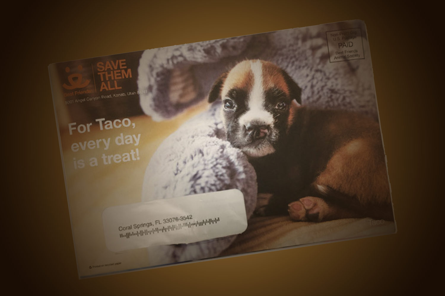 Non-Profit-Donor-Appeal-Featured