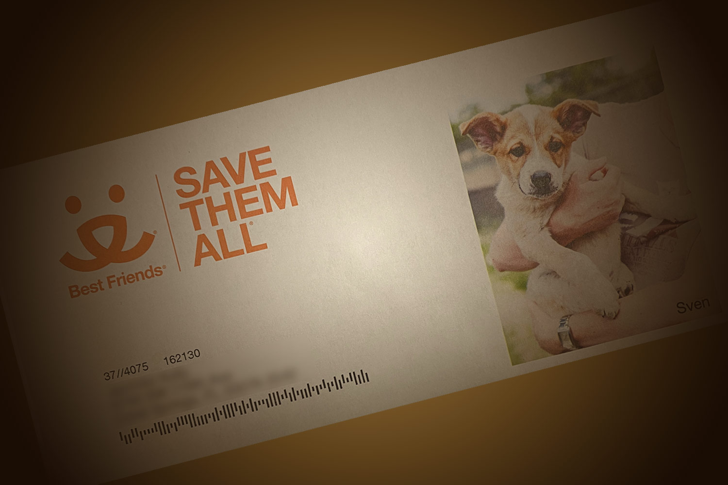 best friends direct mail