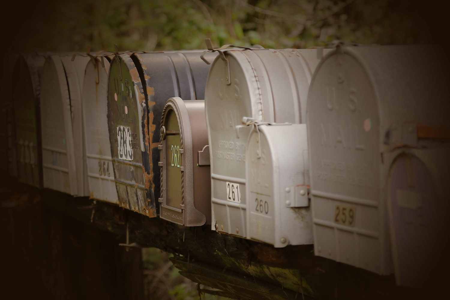 Direct Mail Trends