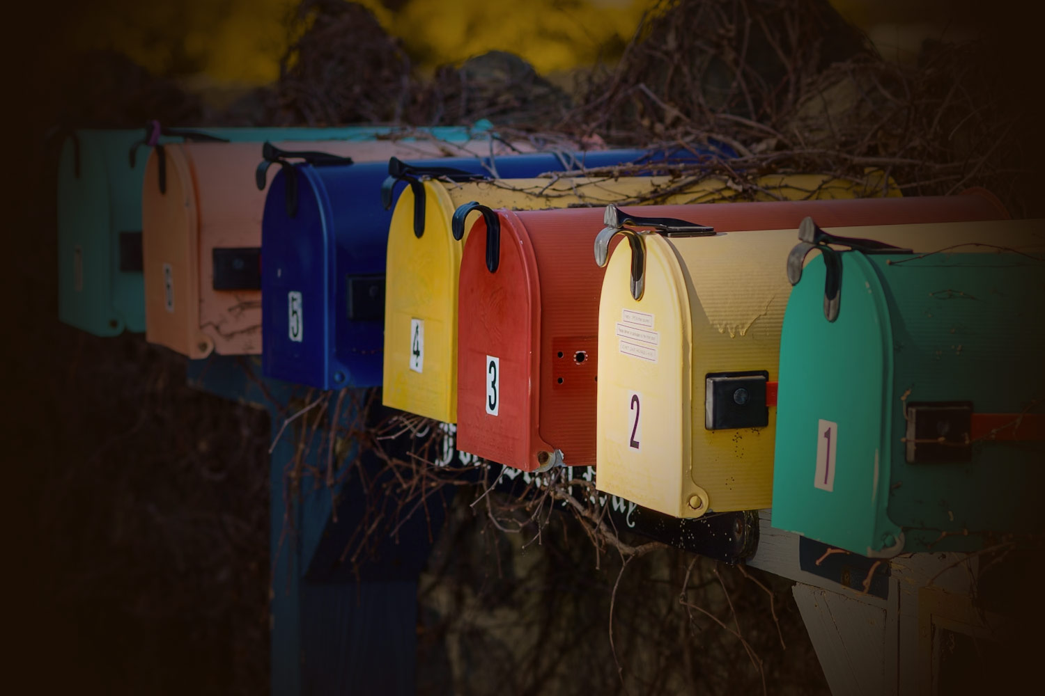 direct mail campaign