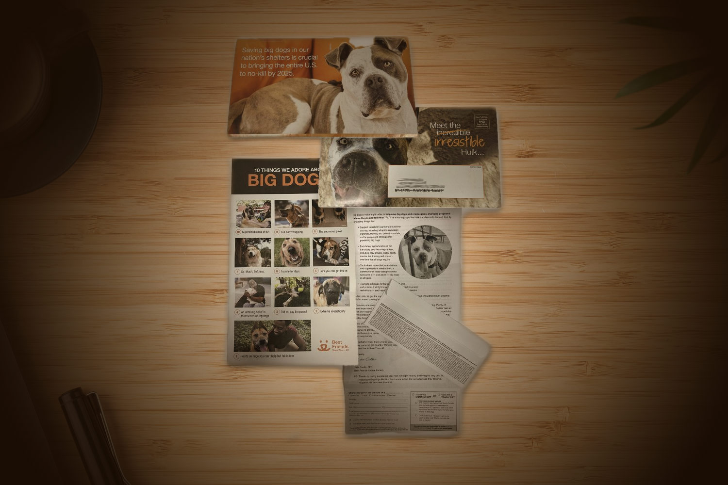 Direct Mail Ideas
